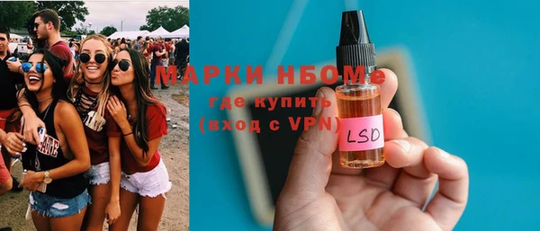 гидра Гусев