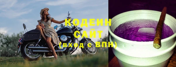прущие грибы Наволоки