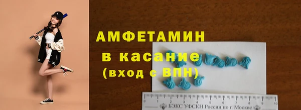 гидра Гусев