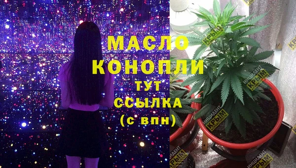 молекула духа Гусиноозёрск