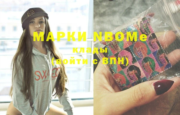 гидра Гусев