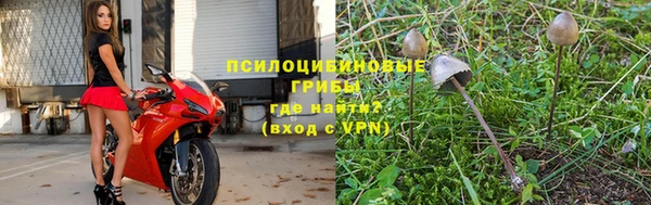 молекула духа Гусиноозёрск