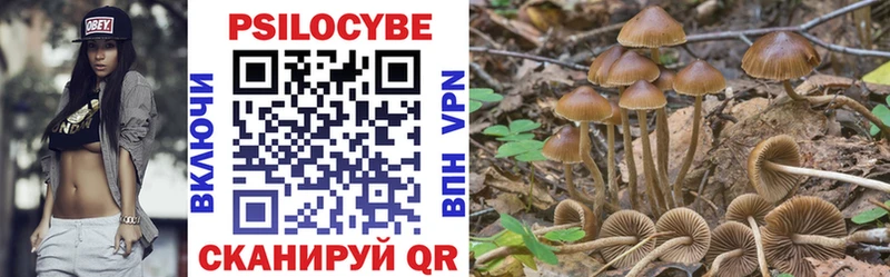 Псилоцибиновые грибы MAGIC MUSHROOMS  сколько стоит  darknet наркотические препараты  Печоры 